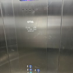 125026